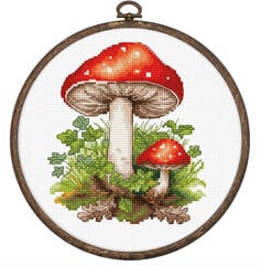 Siuvinėjimo rinkiniai su lankeliai „Amanita Muscaria“ 11x13cm SBC232 Luca-S kaina ir informacija | Siuvinėjimo priemonės | pigu.lt