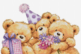 Siuvinėjimo rinkiniai "Three Party Bears" 29x19cm SB1411 Luca-S kaina ir informacija | Siuvinėjimo priemonės | pigu.lt