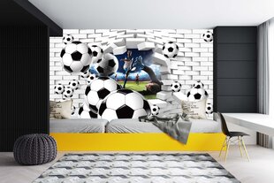 Futbolo 3D sieninė tapyba vaikams, paaugliams Futbolas 260x390 цена и информация | Фотообои | pigu.lt