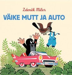 VÄIKE MUTT JA AUTO kaina ir informacija | Knygos mažiesiems | pigu.lt