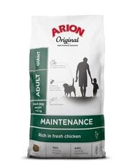 Arion Original Maintenance Adult suaugusiems itin didelių veislių šunims su vištiena, 12 kg kaina ir informacija | Sausas maistas šunims | pigu.lt