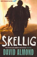 Skellig цена и информация | Книги для подростков  | pigu.lt