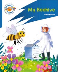 Reading Planet: Rocket Phonics Target Practice - My Beehive - Blue kaina ir informacija | Knygos paaugliams ir jaunimui | pigu.lt