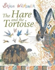 Hare and the Tortoise Reissue kaina ir informacija | Knygos mažiesiems | pigu.lt