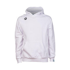 Unisex sportinė striukė Arena Team Hooded Sweat Panel, balta kaina ir informacija | Sportinė apranga vyrams | pigu.lt