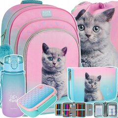 Starpak mokyklinės kuprinės rinkinys Kitten Ombre цена и информация | Школьные рюкзаки, спортивные сумки | pigu.lt