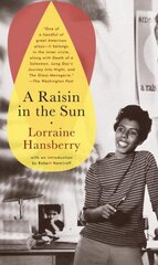 Raisin in the Sun kaina ir informacija | Apsakymai, novelės | pigu.lt