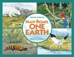 Many Biomes, One Earth kaina ir informacija | Knygos mažiesiems | pigu.lt