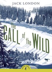 Call of the Wild: 120th Anniversary Edition Special edition kaina ir informacija | Knygos paaugliams ir jaunimui | pigu.lt