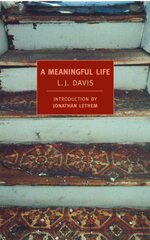 Meaningful Life Main kaina ir informacija | Fantastinės, mistinės knygos | pigu.lt