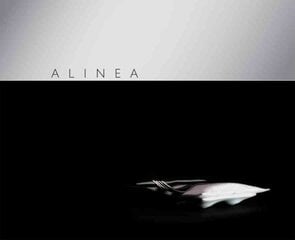 Alinea цена и информация | Книги рецептов | pigu.lt