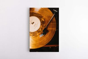 Auksinė Vinilo plokšelė kaina ir informacija | Reprodukcijos, paveikslai | pigu.lt