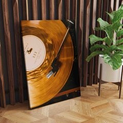 Auksinė Vinilo plokšelė kaina ir informacija | Reprodukcijos, paveikslai | pigu.lt