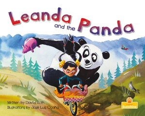 Leanda and the Panda цена и информация | Книги для подростков и молодежи | pigu.lt