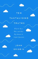 Ten Tantalising Truths: Why the Sky is Blue, and other Big Answers to Simple Questions цена и информация | Книги по экономике | pigu.lt