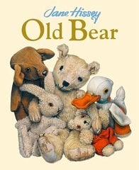 Old Bear: An Old Bear and Friends Adventure цена и информация | Книги для малышей | pigu.lt