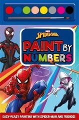 Marvel Spider-Man: Paint By Numbers kaina ir informacija | Knygos mažiesiems | pigu.lt