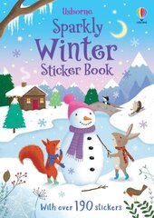 Sparkly Winter Sticker Book цена и информация | Книги для малышей | pigu.lt