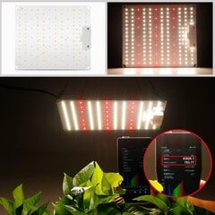 InnoGear P-5 LED augalų lempa kaina ir informacija | Daigyklos, lempos augalams | pigu.lt