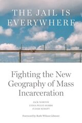 Jail is Everywhere: Fighting the New Geography of Mass Incarceration kaina ir informacija | Socialinių mokslų knygos | pigu.lt