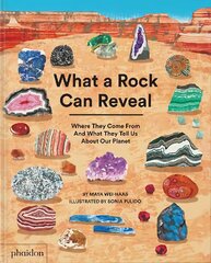 What a Rock Can Reveal: Where They Come From And What They Tell Us About Our Planet цена и информация | Книги для подростков и молодежи | pigu.lt