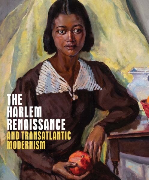 Harlem Renaissance and Transatlantic Modernism kaina ir informacija | Knygos apie meną | pigu.lt