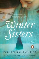 Winter Sisters: A Novel kaina ir informacija | Fantastinės, mistinės knygos | pigu.lt