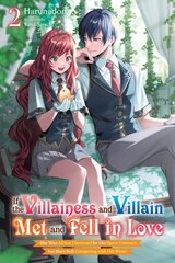 If the Villainess and Villain Met and Fell in Love, Vol. 2 (light novel) kaina ir informacija | Fantastinės, mistinės knygos | pigu.lt