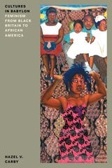 Cultures in Babylon: Feminism from Black Britain to African America New edition kaina ir informacija | Socialinių mokslų knygos | pigu.lt