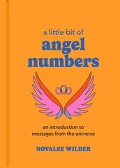 Little Bit of Angel Numbers: An Introduction to Messages from the Universe kaina ir informacija | Saviugdos knygos | pigu.lt