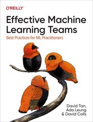 Effective Machine Learning Teams: Best Practices for ML Practitioners цена и информация | Книги по экономике | pigu.lt