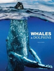 Whales & Dolphins kaina ir informacija | Knygos apie sveiką gyvenseną ir mitybą | pigu.lt