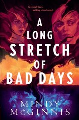 Long Stretch of Bad Days цена и информация | Книги для подростков и молодежи | pigu.lt