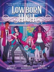 Lowborn High цена и информация | Книги для подростков  | pigu.lt