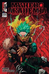 My Hero Academia, Vol. 37 kaina ir informacija | Fantastinės, mistinės knygos | pigu.lt