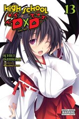 High School DxD, Vol. 13 (light novel) kaina ir informacija | Fantastinės, mistinės knygos | pigu.lt