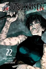 Jujutsu Kaisen, Vol. 22 kaina ir informacija | Fantastinės, mistinės knygos | pigu.lt