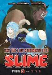 That Time I Got Reincarnated as a Slime Omnibus 2 (Vol. 4-6) kaina ir informacija | Fantastinės, mistinės knygos | pigu.lt