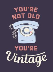 You're Not Old, You're Vintage: Joyful Quotes for the Young At Heart kaina ir informacija | Socialinių mokslų knygos | pigu.lt