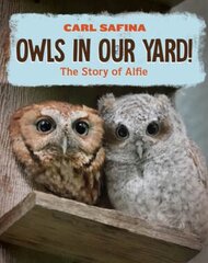 Owls in Our Yard!: The Story of Alfie kaina ir informacija | Knygos paaugliams ir jaunimui | pigu.lt