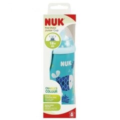 Gertuvė NUK Junior Cup, mėlyna, 18+ mėn, 300 ml kaina ir informacija | Buteliukai kūdikiams ir jų priedai | pigu.lt