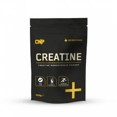 Kreatinas CNP Professional Creatine Powder, 250g цена и информация | Креатин | pigu.lt