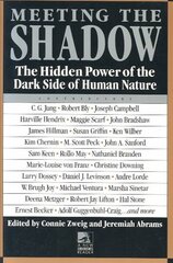 Meeting the Shadow: The Hidden Power of the Dark Side of Human Nature kaina ir informacija | Socialinių mokslų knygos | pigu.lt