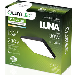 LED lubų šviestuvas LUNA 30W Square 30x5 cm LUMILED цена и информация | Потолочные светильники | pigu.lt