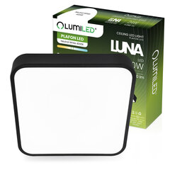 LED lubų šviestuvas LUNA 30W Square 30x5 cm LUMILED цена и информация | Потолочные светильники | pigu.lt