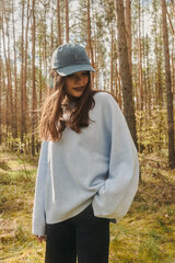 6 Panel Dad Cap, Gekon, Kopyto, Beisbolo Kepurė su snapeliu, Mėlynas, Unisex kaina ir informacija | Kepurės moterims | pigu.lt