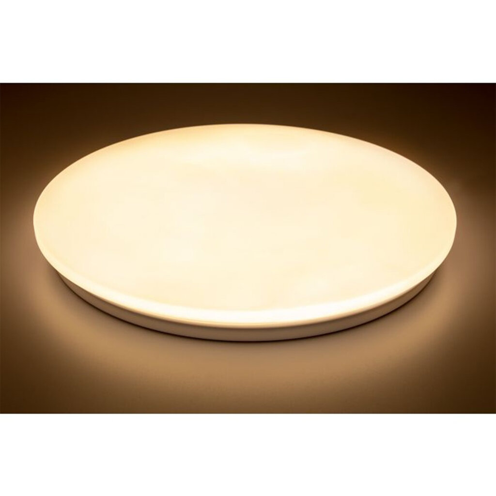 "Plafond" LED paviršinis montavimas SALUS 72W IP44 CCT White Round 48cm + LUMILED PILOT kaina ir informacija | Lauko šviestuvai | pigu.lt