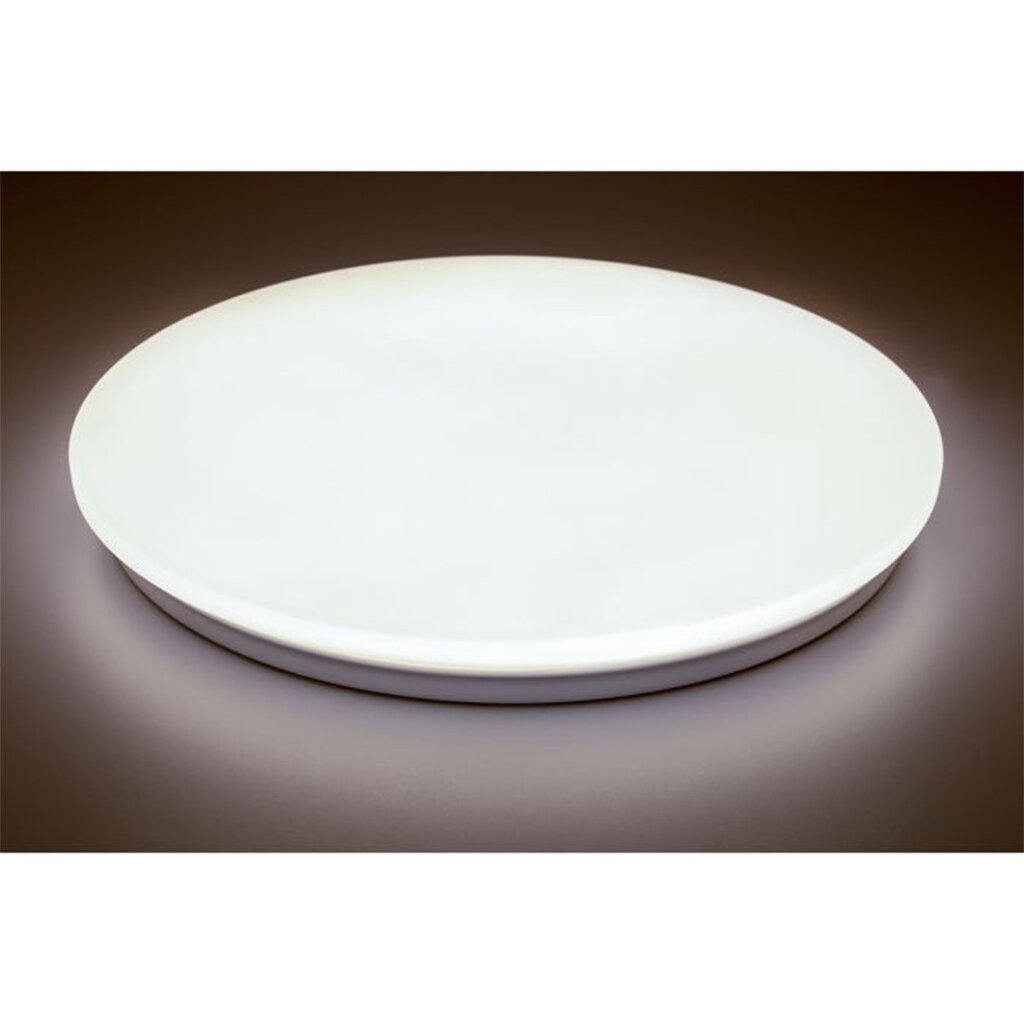 "Plafond" LED paviršinis montavimas SALUS 72W IP44 CCT White Round 48cm + LUMILED PILOT kaina ir informacija | Lauko šviestuvai | pigu.lt