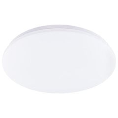 "Plafond" LED paviršinis montavimas SALUS 72W IP44 CCT White Round 48cm + LUMILED PILOT цена и информация | Уличные светильники | pigu.lt