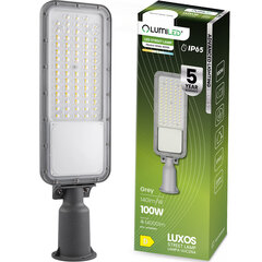 LED gatvės šviestuvas LUXOS Pramoninis kelių šviestuvas 100W 14000lm 4000K IP65 Išplėstinė apšvietimo serija LUMILED цена и информация | Уличные светильники | pigu.lt